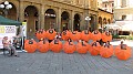 IMG_3568