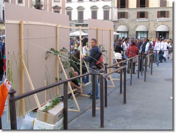 Foto successiva