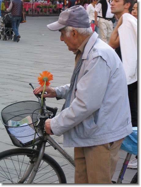 Foto successiva