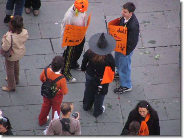 Foto successiva