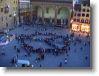 IMG_0554 * 2592 x 1944 * (2.46MB)