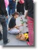 IMG_7240 * 1536 x 2048 * (1.34MB)