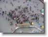 IMG_7308 * 2048 x 1536 * (1.55MB)