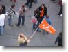 IMG_7312 * 2048 x 1536 * (1.54MB)
