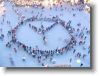 IMG_7338 * 2048 x 1536 * (1.45MB)