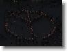 IMG_7345 * 2048 x 1536 * (1.22MB)