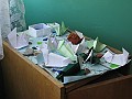 IMG_2113