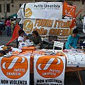 IMG_3817