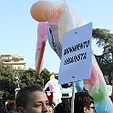 IMG_4100