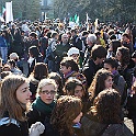 IMG_4131