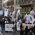 IMG_4229