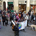 IMG_4262