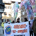 IMG_4527