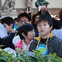 IMG_4547