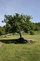 IMG_0926