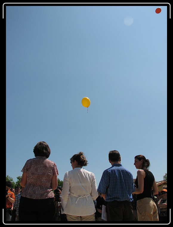 Foto successiva