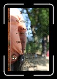 IMG_1285 * 2592 x 3888 * (3.4MB)