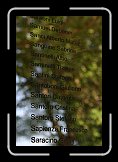 IMG_1287 * 2592 x 3888 * (3.36MB)