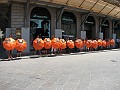 IMG_3448