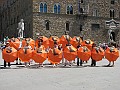 IMG_3459