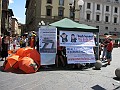 IMG_3525