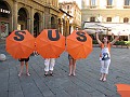 IMG_3594