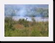 IMG_3818 * 2048 x 1536 * (2.17MB)