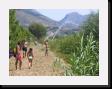 IMG_3819 * 2048 x 1536 * (2.2MB)