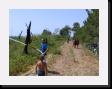 IMG_3820 * 2048 x 1536 * (2.0MB)