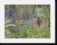 IMG_3821 * 2048 x 1536 * (1.99MB)