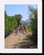 IMG_3822 * 1536 x 2048 * (2.02MB)