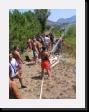 IMG_3824 * 1536 x 2048 * (2.27MB)