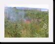 IMG_3826 * 2048 x 1536 * (2.3MB)