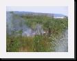 IMG_3830 * 2048 x 1536 * (2.02MB)