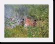 IMG_3832 * 2048 x 1536 * (1.91MB)