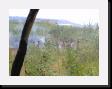 IMG_3833 * 2048 x 1536 * (2.01MB)