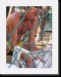 IMG_3910 * 1536 x 2048 * (1.43MB)