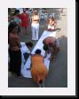 IMG_3915 * 1536 x 2048 * (1.24MB)