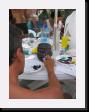 IMG_3932 * 1536 x 2048 * (1.19MB)