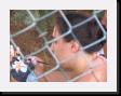 IMG_3936 * 2048 x 1536 * (1.12MB)