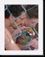 IMG_3937 * 1536 x 2048 * (1.09MB)