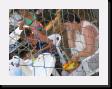 IMG_3945 * 2048 x 1536 * (1.65MB)