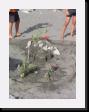 IMG_3967 * 1536 x 2048 * (2.04MB)