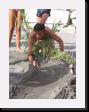 IMG_3973 * 1536 x 2048 * (1.81MB)
