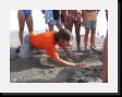 IMG_3993 * 2048 x 1536 * (1.43MB)