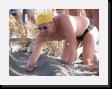 IMG_4008 * 2048 x 1536 * (1.45MB)