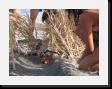 IMG_4010 * 2048 x 1536 * (1.62MB)