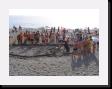 IMG_4025 * 2048 x 1536 * (1.5MB)