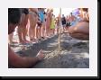 IMG_4047 * 2048 x 1536 * (1.55MB)