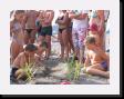 IMG_4067 * 2048 x 1536 * (1.76MB)